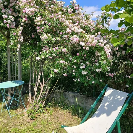Vila Maison Coeur De Village 250 M2 Piscine Clim Maureillas