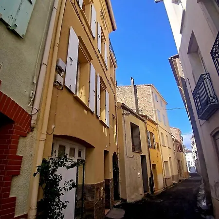 빌라 Maison Coeur De Village 250 M2 Piscine Clim Maureillas