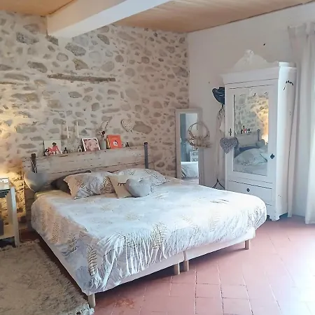 Maison Coeur De Village 250 M2 Piscine Clim Maureillas