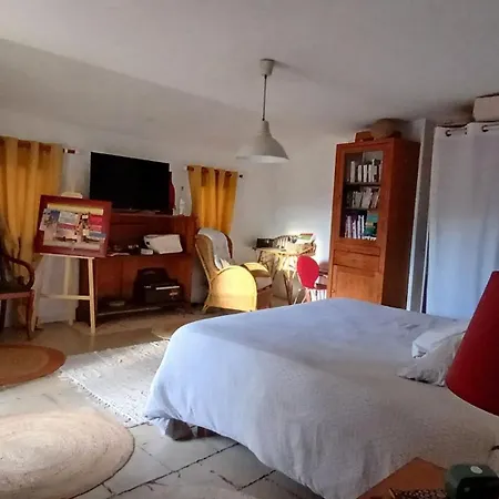 Maison Coeur De Village 250 M2 Piscine Clim