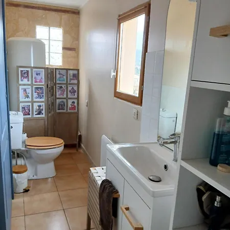Maison Coeur De Village 250 M2 Piscine Clim Maureillas