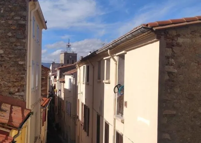 Maison Coeur De Village 250 M2 Piscine Clim Maureillas